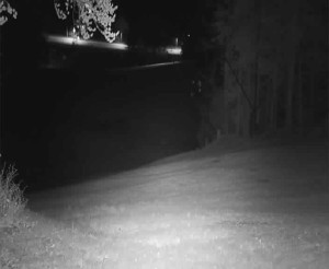 Skiareál Karolinka  - Prostřední část sjezdovky a snowpark - 25.4.2024 v 22:02