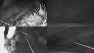 Bludný - Rajnochovice Troják - Sdružený snímek Bludný - 19.4.2024 v 23:31