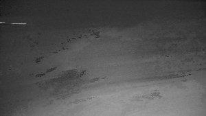 Ski areál Branná - Ski Branná - horní kamera - 3.3.2023 v 02:00