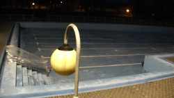 Areál koupaliště Hulín