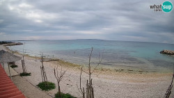 Pláž Gajac