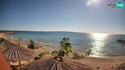 Gajac Beach