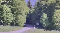 Rozhledna, Panorama