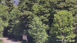 Rozhledna, Panorama