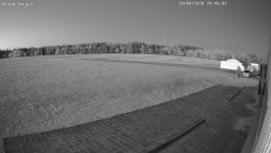 Letiště, Kojál