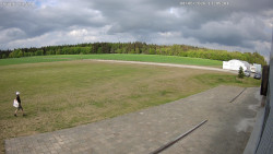 Letiště, Kojál