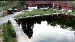 Bazén