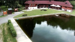 Bazén