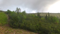 Zadné Dereše