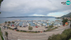 Marina Orebić, Korčula