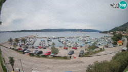 Marina Orebić, Korčula