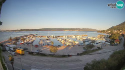 Marina Orebić, Korčula