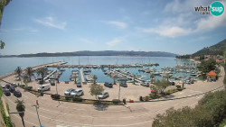 Marina Orebić, Korčula