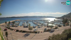 Marina Orebić, Korčula