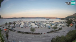 Marina Orebić, Korčula
