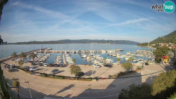 Marina Orebić, Korčula
