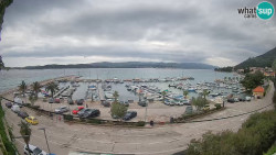 Marina Orebić, Korčula