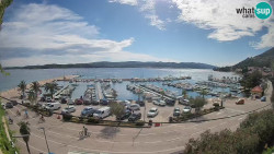 Marina Orebić, Korčula