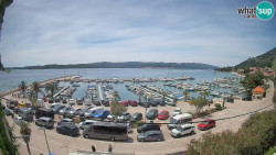 Marina Orebić, Korčula
