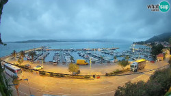 Marina Orebić, Korčula