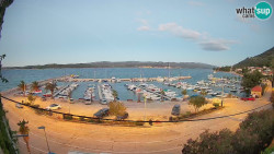 Marina Orebić, Korčula
