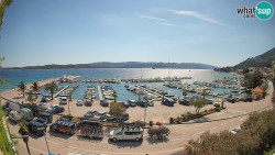 Marina Orebić, Korčula