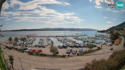 Marina Orebić, Korčula