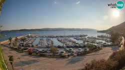 Marina Orebić, Korčula