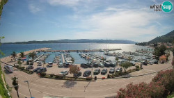 Marina Orebić, Korčula