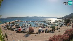 Marina Orebić, Korčula