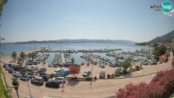 Marina Orebić, Korčula