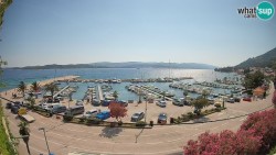 Marina Orebić, Korčula