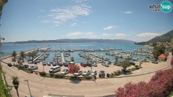 Marina Orebić, Korčula