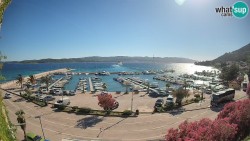 Marina Orebić, Korčula