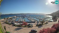 Marina Orebić, Korčula