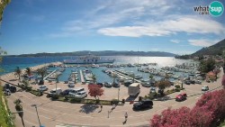 Marina Orebić, Korčula