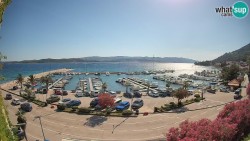 Marina Orebić, Korčula