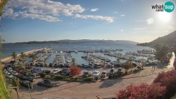 Marina Orebić, Korčula
