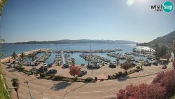 Marina Orebić, Korčula