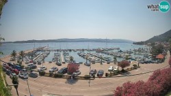 Marina Orebić, Korčula