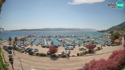 Marina Orebić, Korčula