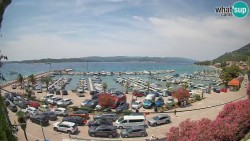 Marina Orebić, Korčula