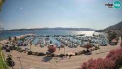 Marina Orebić, Korčula