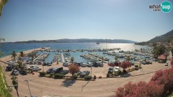 Marina Orebić, Korčula