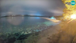 Zlatni rat