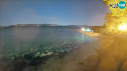 Zlatni rat