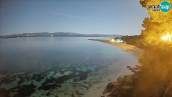 Zlatni rat