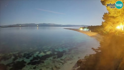 Zlatni rat