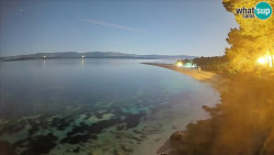 Zlatni rat