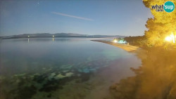 Zlatni rat